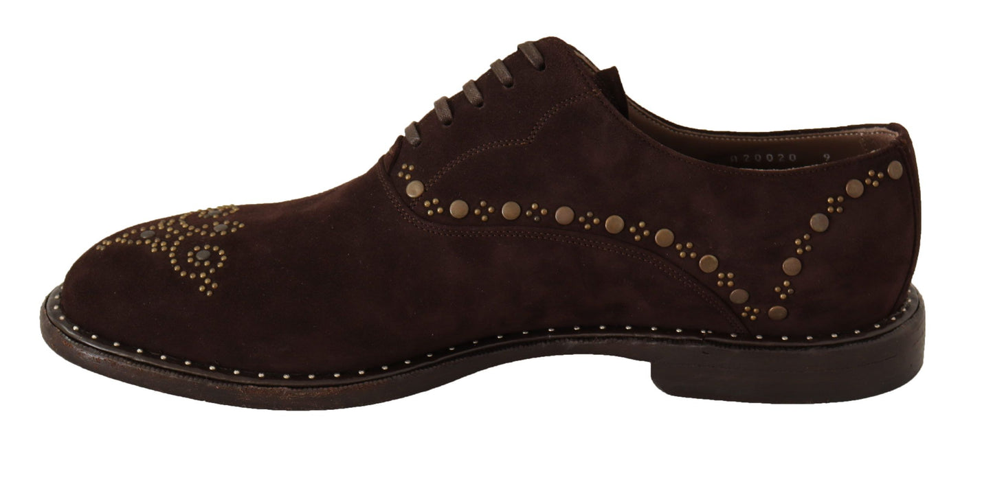 Dolce & Gabbana Elegant Brown Suede Studded Derby Shoes