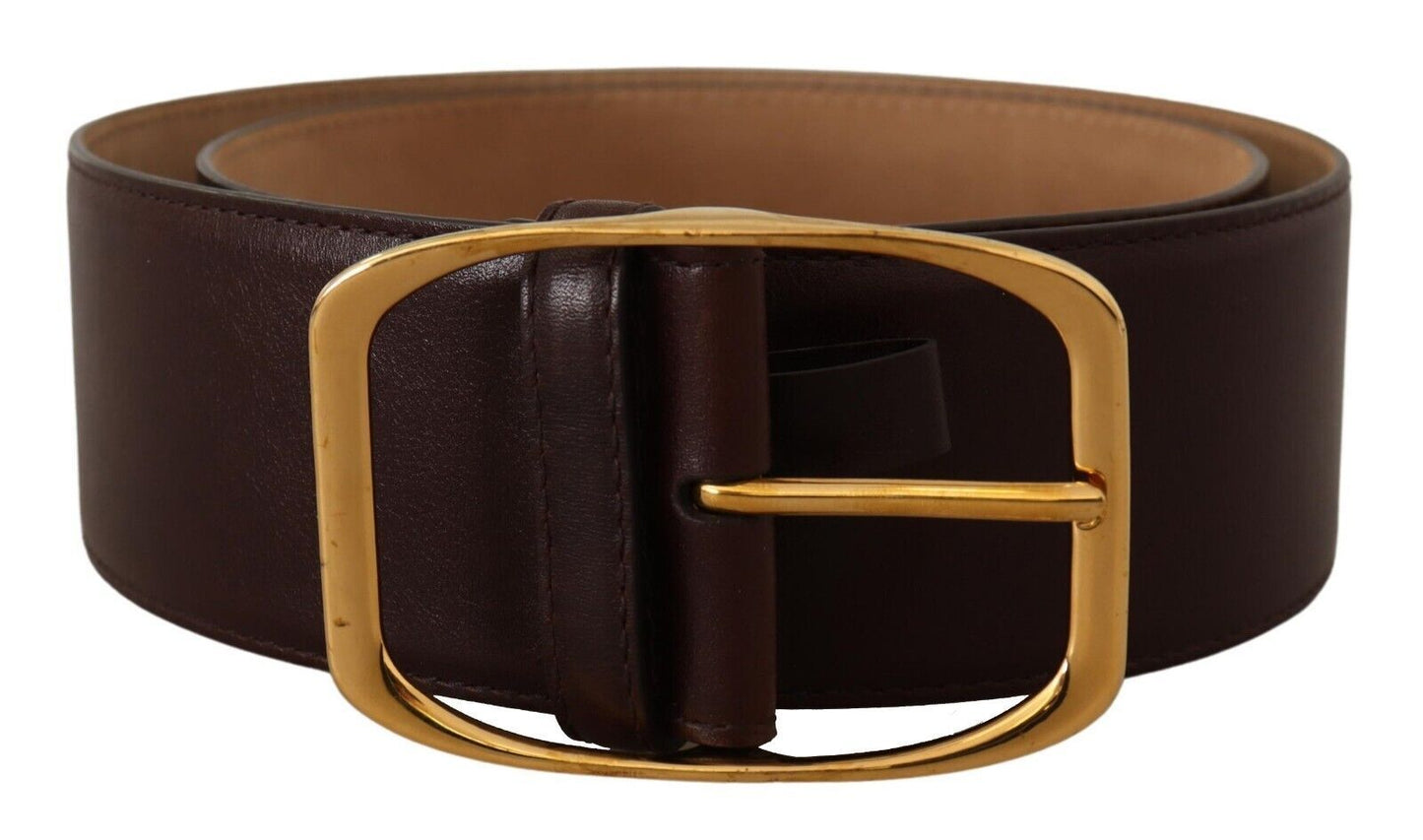 Dolce & Gabbana Elegant Dark Brown Leather Belt with Gold Buckle