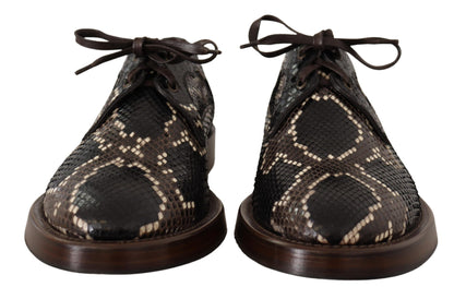 Dolce & Gabbana Elegant Formal Python Derby Shoes