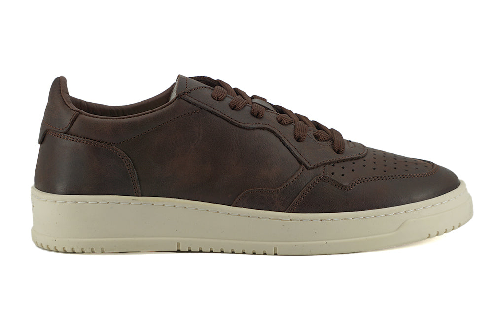 Saxone of Scotland Exclusive Leather Fabric Sneakers in Brown