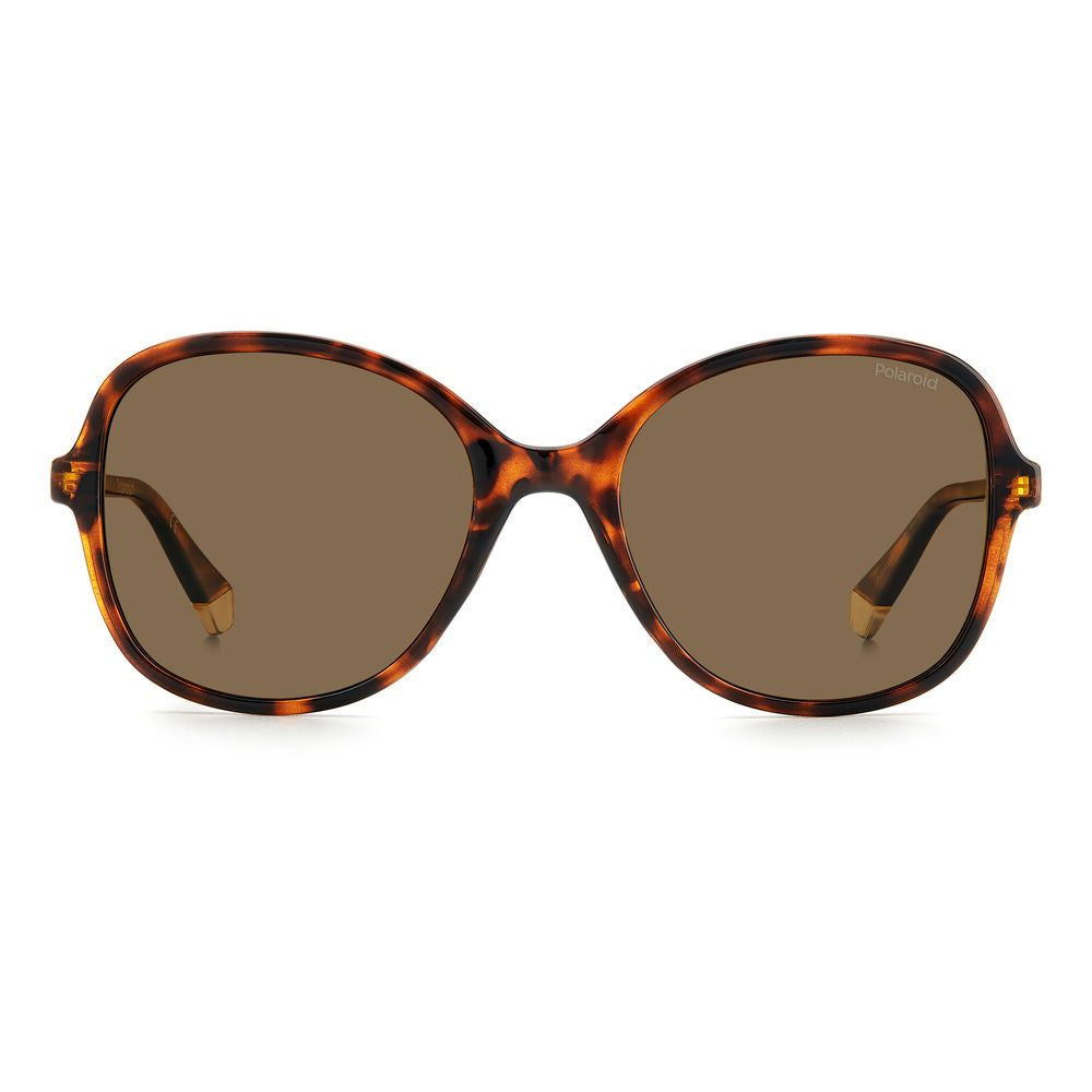 Polaroid Brown Resin Sunglasses